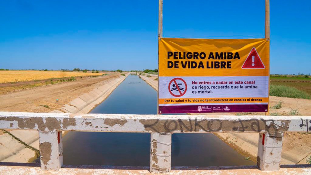 Detectan Amiba De Vida Libre En Agua De Ejido Sonora The Baja Post