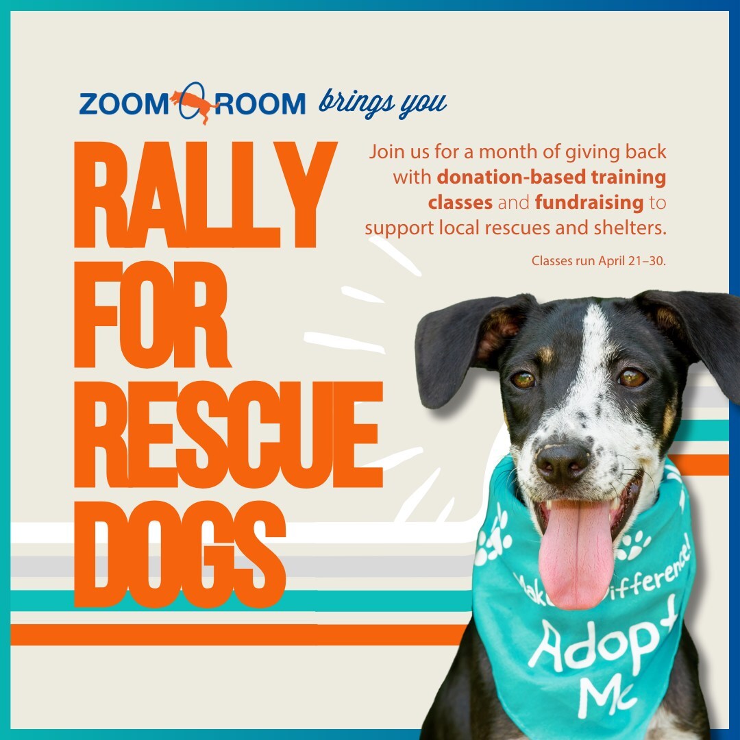 Rescue Roo Zoom Room Launches «Rally for Rescue Dogs» Initiative Across the U.S ...